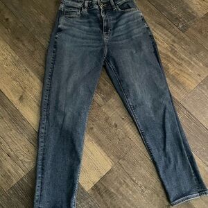 American Eagle Outfitters Blue Straight Leg Jeans